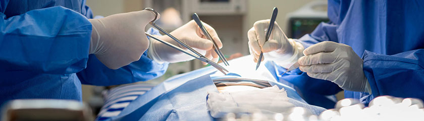 Cirurgia Vascular | Dra. Giovanna Guarinello